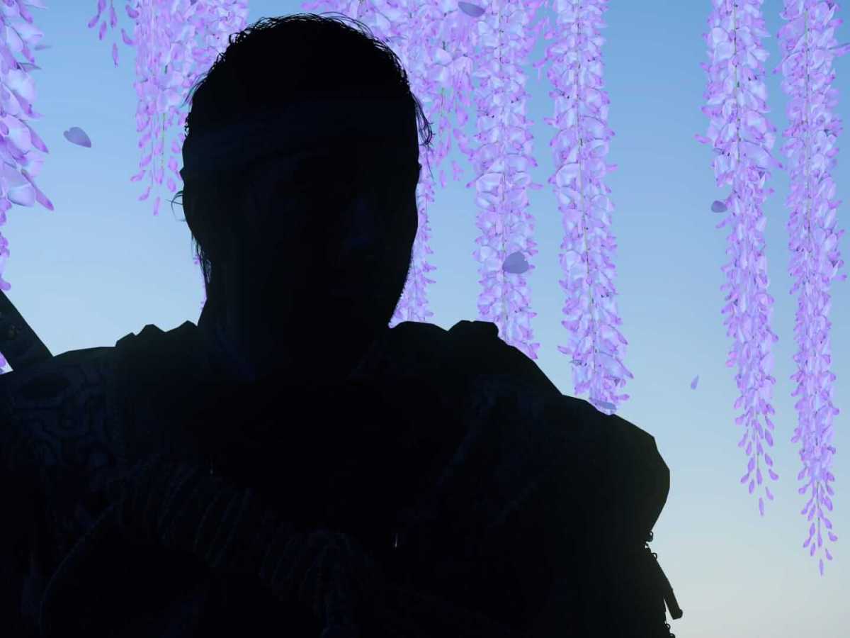 Ghost of Tsushima is zó mooi dat je er gewoon even stil van&nbsp;wordt